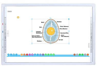 China 96 Inch Portable Smart Board Interactive Whiteboard High Compatibility factory